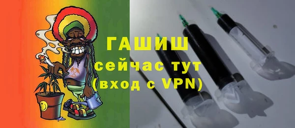 твердый Михайлов