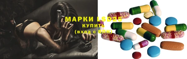 индика Нефтегорск