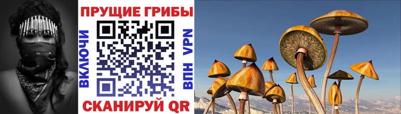 Галлюциногенные грибы Magic Shrooms  цены   Кяхта 